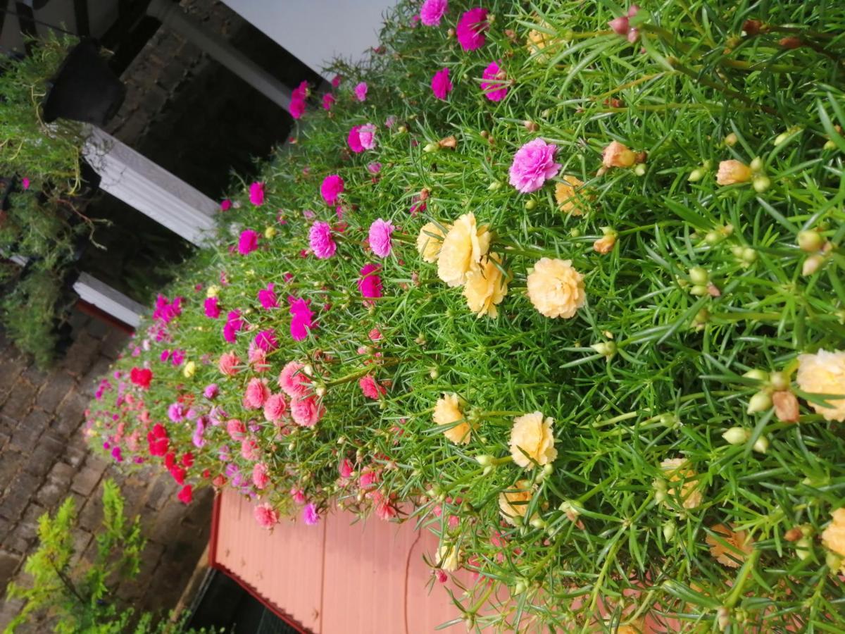 Kanthi Holiday Rest Homestay Mirissa Dış mekan fotoğraf