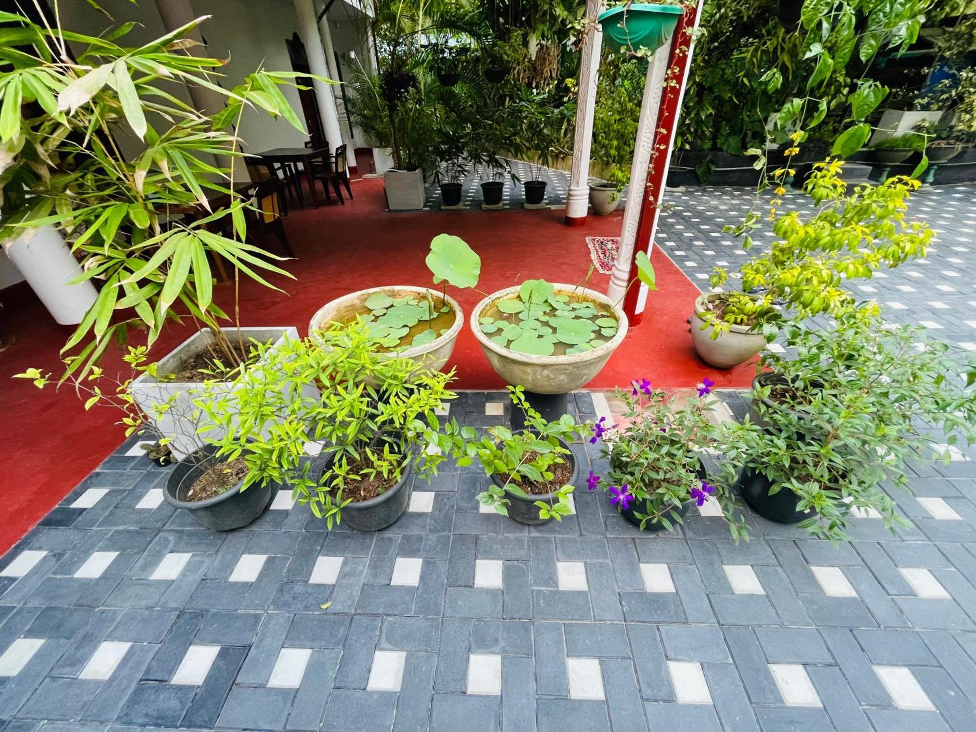 Kanthi Holiday Rest Homestay Mirissa Dış mekan fotoğraf